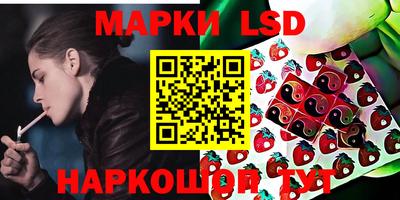 МДПВ Волгодонск